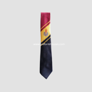Tie Punjab College