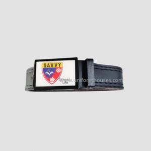 Belt Savvy School