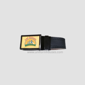 Belt SAP Schools
